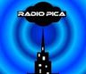 42507_radio-pica.png