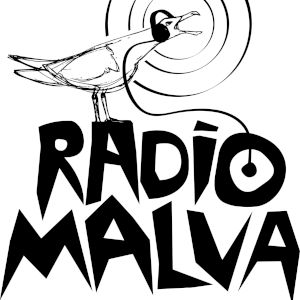 4880_radio-malva.png