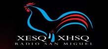 80196_Radio-San-Miguel.jpg